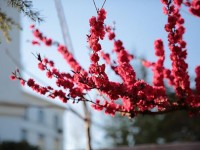 山東威海藝術(shù)幼兒師范學(xué)校2023年學(xué)費(fèi)、收費(fèi)多少