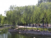 新鄉(xiāng)工程師范學(xué)院2023年學(xué)費(fèi)、收費(fèi)多少