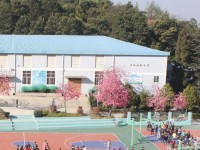 云南林業(yè)幼兒師范高級(jí)技工學(xué)校2023年學(xué)費(fèi)、收費(fèi)多少