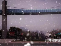 溫州師范大學(xué)茶山校區(qū)2023年學(xué)費(fèi)、收費(fèi)多少