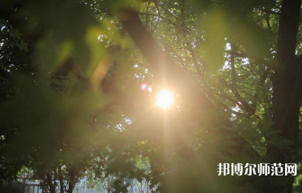 西安職業(yè)中等幼師專業(yè)學(xué)校2023年報名條件、招生要求、招生對象